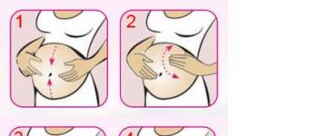 Можно ли делать массаж во время беременности?
